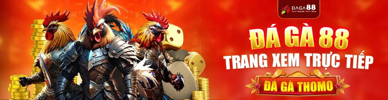 Đá gà trực tuyến M88 sôi động